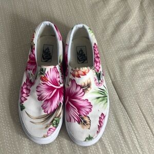 Hibiscus vans